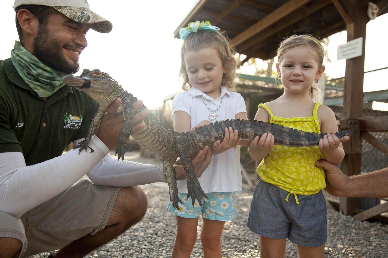 Everglades preview 8