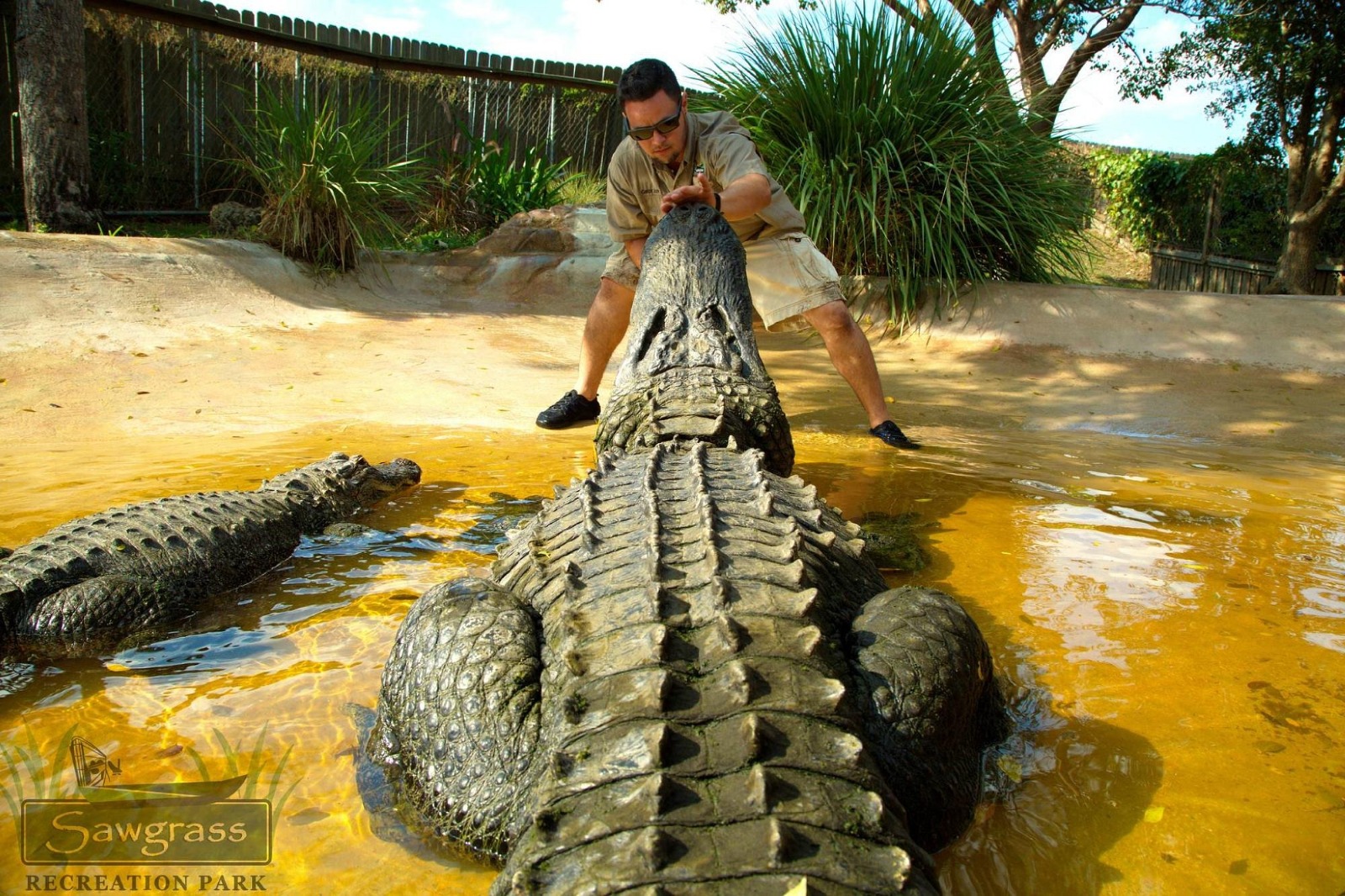 Everglades preview 9